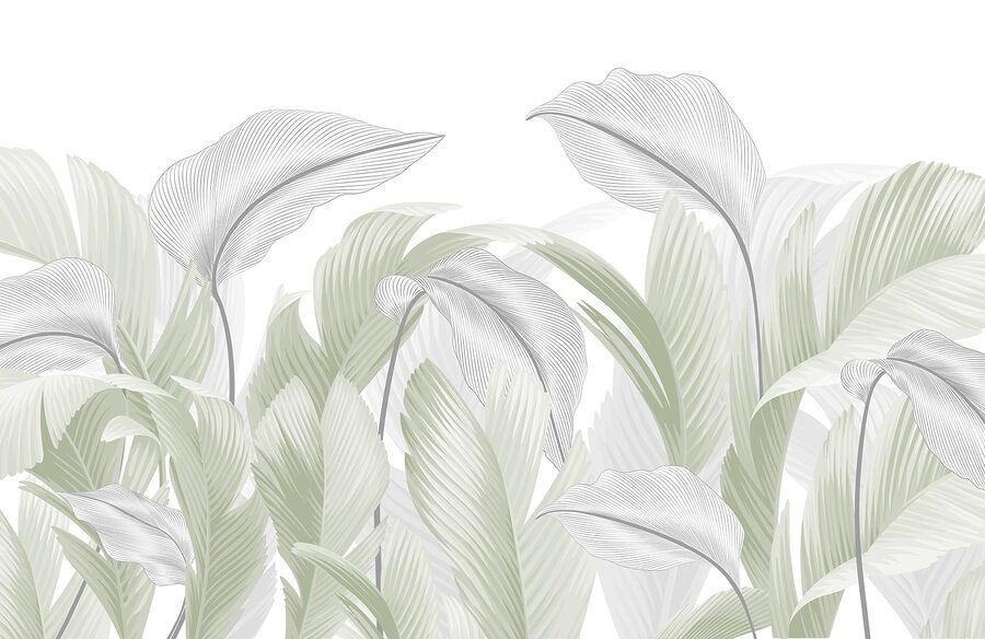Elegantes folhas verdes num fundo branco