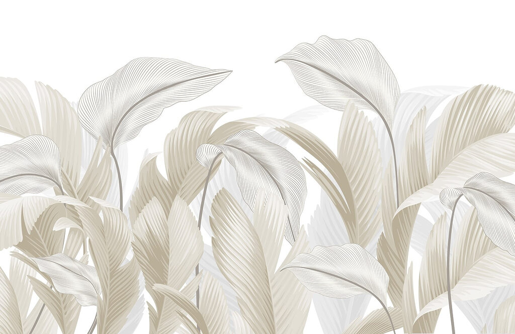 Curvas suaves da natureza’ design Curvas suaves da natureza’ design