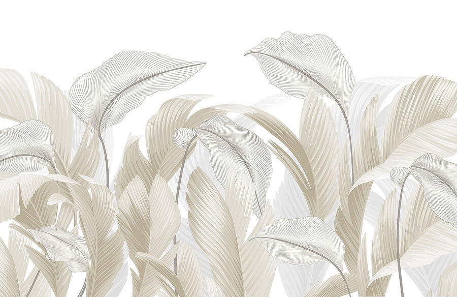 Curvas suaves da natureza’ design Curvas suaves da natureza’ design