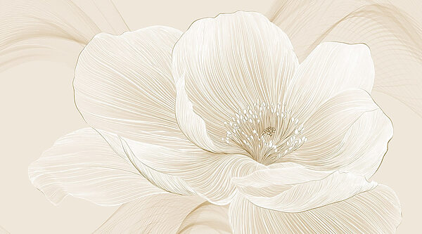 Linhas delicadas que definem a beleza floral Linhas delicadas que definem a beleza floral