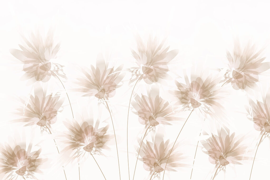 Grupo de flores sobre um fundo branco Grupo de flores sobre um fundo branco
