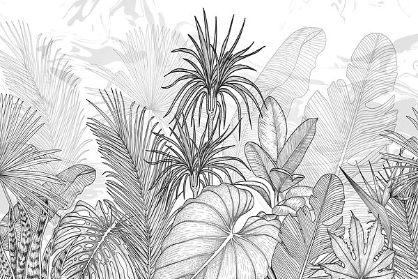Desenho a preto e branco de plantas Desenho a preto e branco de plantas