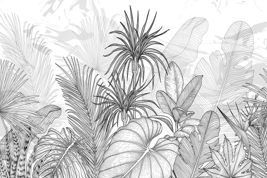 Desenho a preto e branco de plantas Desenho a preto e branco de plantas