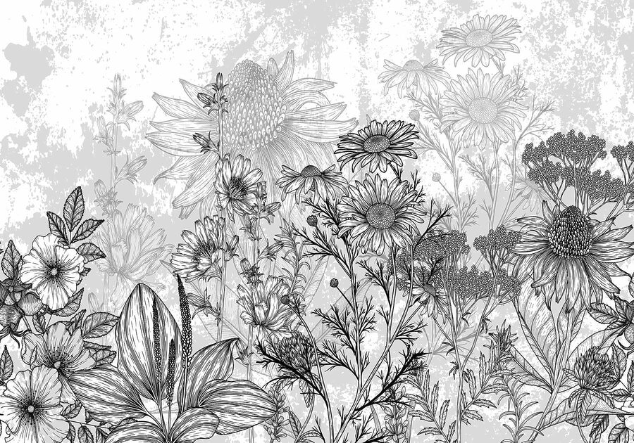 Imagem a preto e branco de flores Imagem a preto e branco de flores