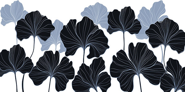 Folhas elegantes em cores contrastantes. Folhas elegantes em cores contrastantes.