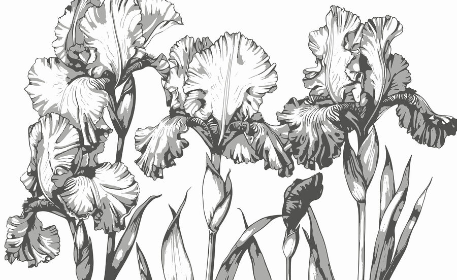 Grupo de flores com folhas