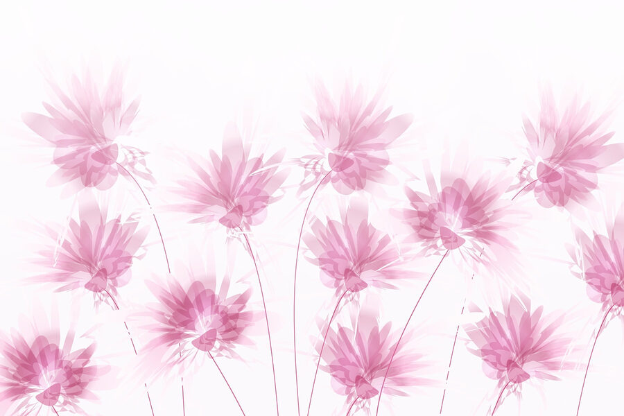 Grupo de flores cor-de-rosa