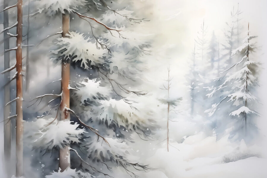 Árvores cobertas de neve numa floresta