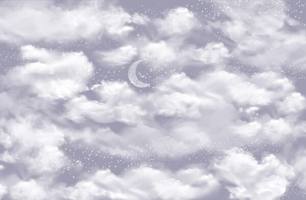 Moon in the sky