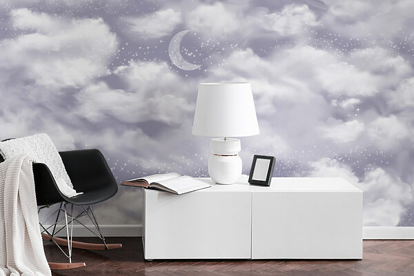 Moon in the sky