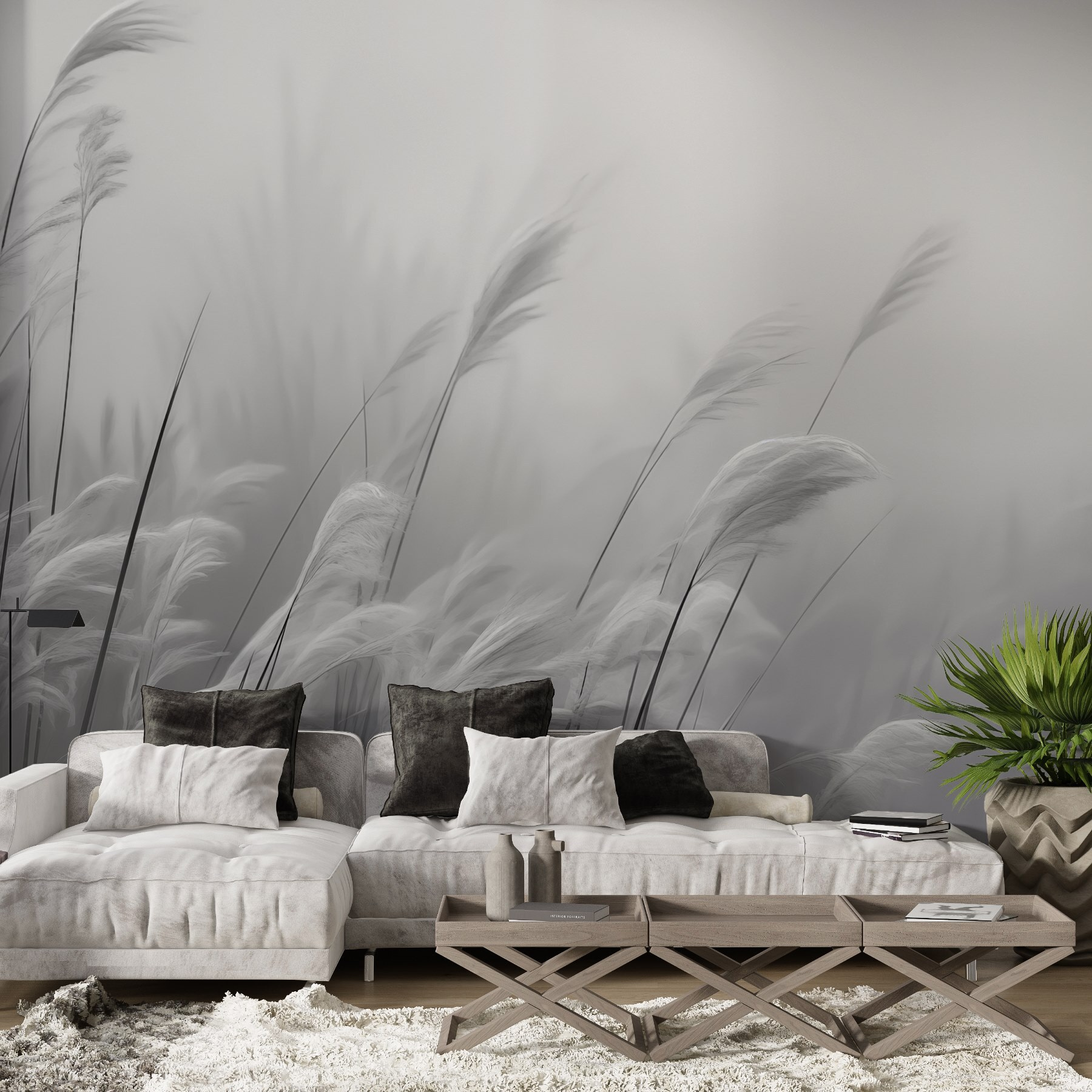 Soft grasses sway in gentle breeze Soft grasses sway in gentle breeze