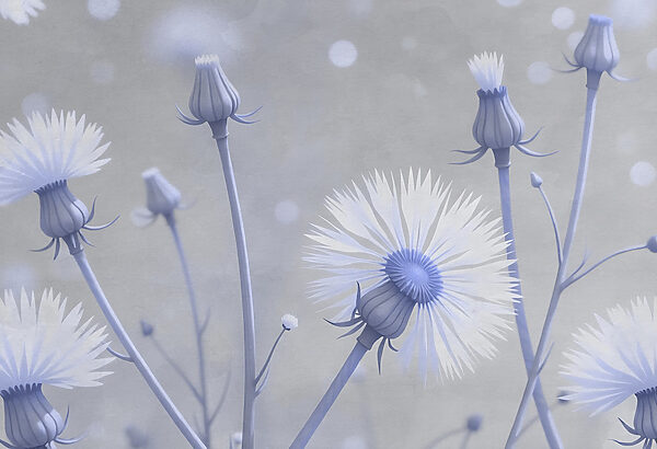 Flores delicadas em tons suaves. Flores delicadas em tons suaves.