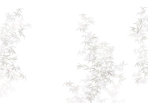 Planta com folhas Planta com folhas