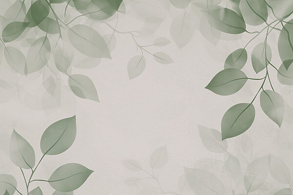 Folhas verdes sobre um fundo branco w08551v1p 600x400 - Folhas verdes sobre um fundo branco