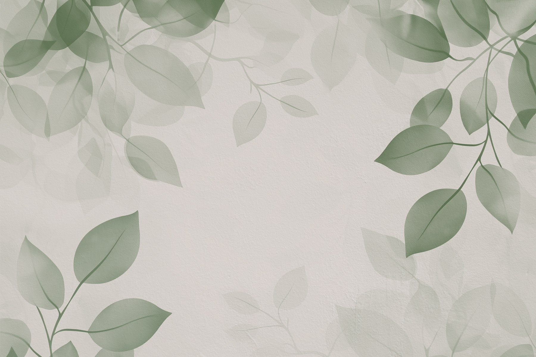 Folhas verdes sobre um fundo branco w08551v1p - Folhas verdes sobre um fundo branco