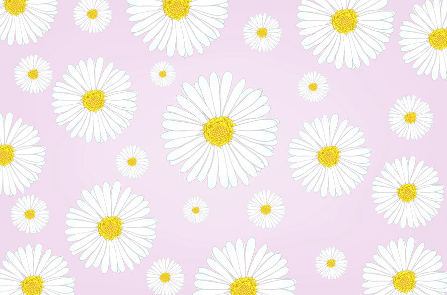 Papel de parede Padrão de flores brancas e amarelas - Image 3