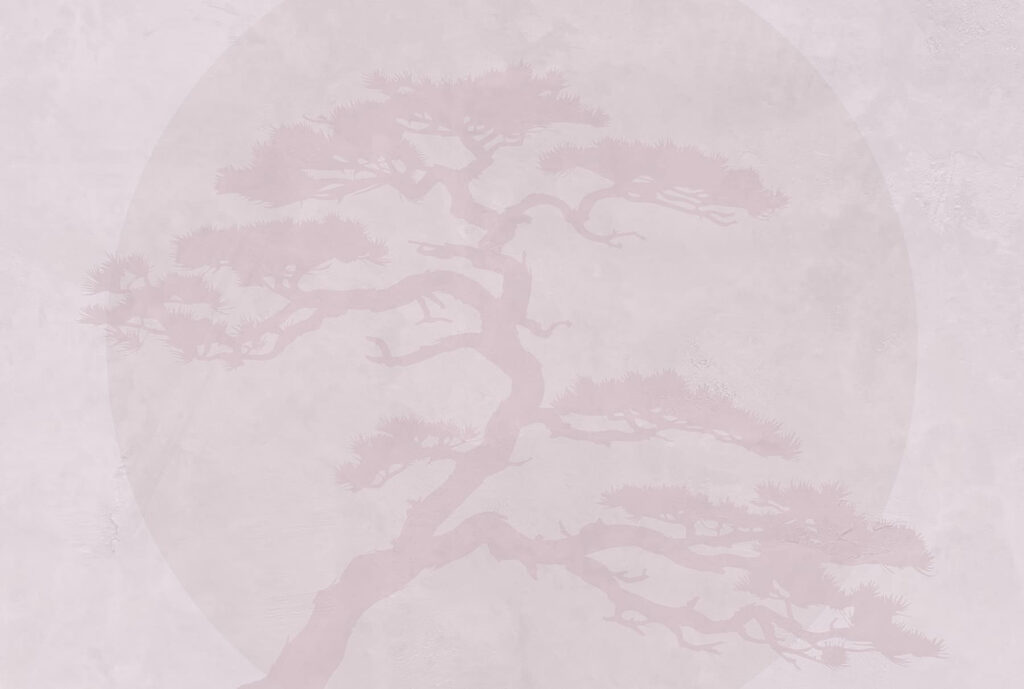 Árvore sobre um fundo branco Árvore sobre um fundo branco