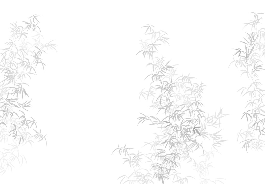 Fundo branco com folhas Fundo branco com folhas