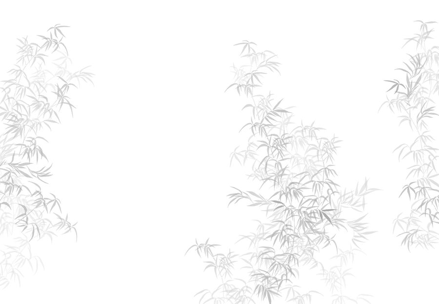 Fundo branco com folhas