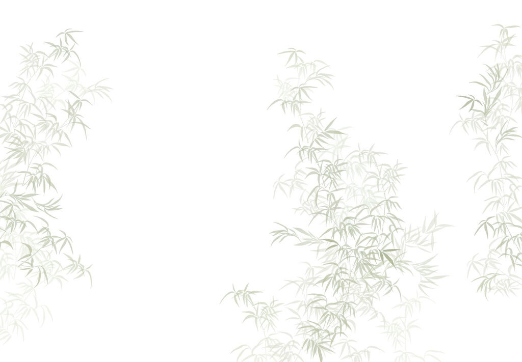 Planta com folhas Planta com folhas