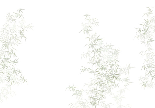 Planta com folhas Planta com folhas