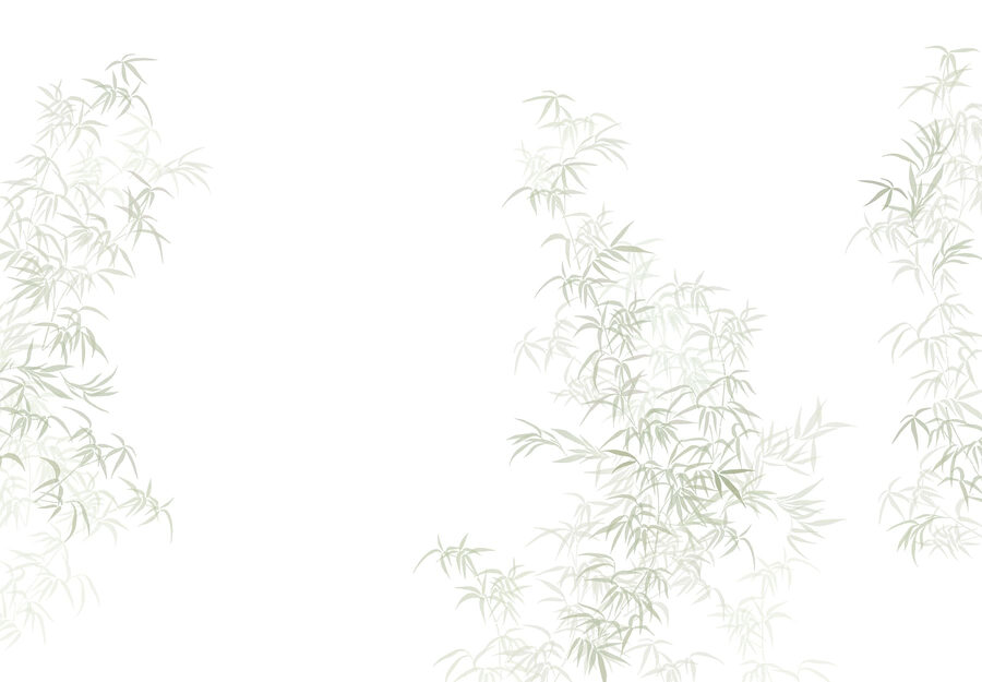 Planta com folhas