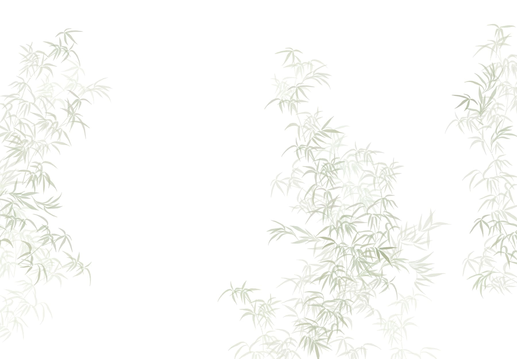 Plant with leaves on it Plant with leaves on it