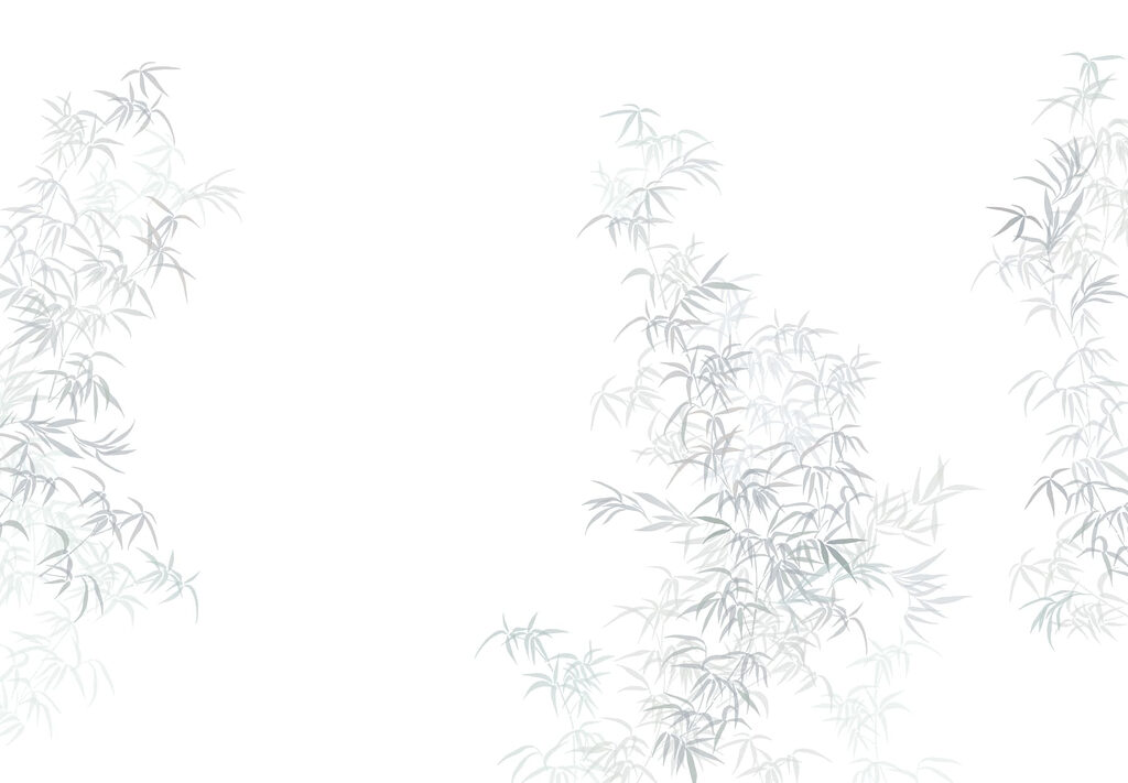 Planta com folhas Planta com folhas