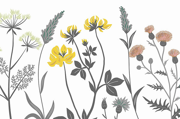 Arranjo floral elegante em cores suaves Arranjo floral elegante em cores suaves