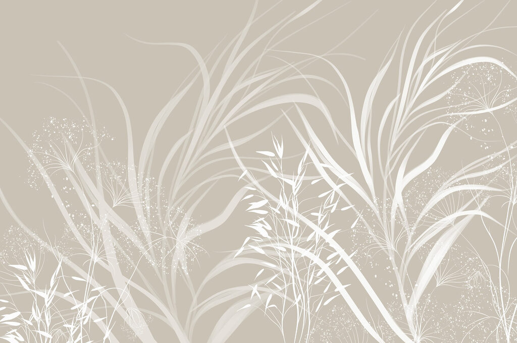 Desenho floral branco sobre um fundo cinzento Desenho floral branco sobre um fundo cinzento