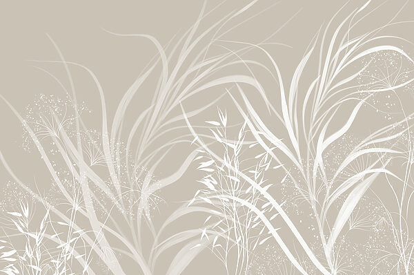 Desenho floral branco sobre um fundo cinzento Desenho floral branco sobre um fundo cinzento