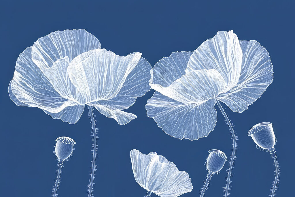 Flores brancas sobre um fundo azul Flores brancas sobre um fundo azul