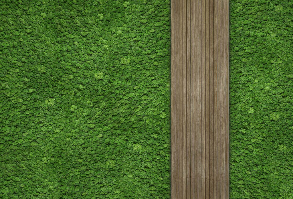 Tábua de madeira numa parede verde Tábua de madeira numa parede verde