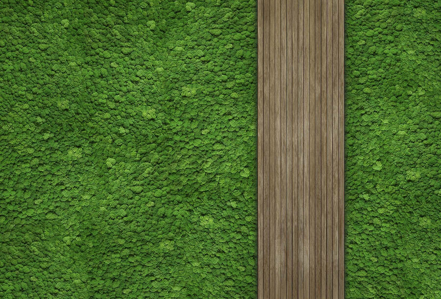 Tábua de madeira numa parede verde