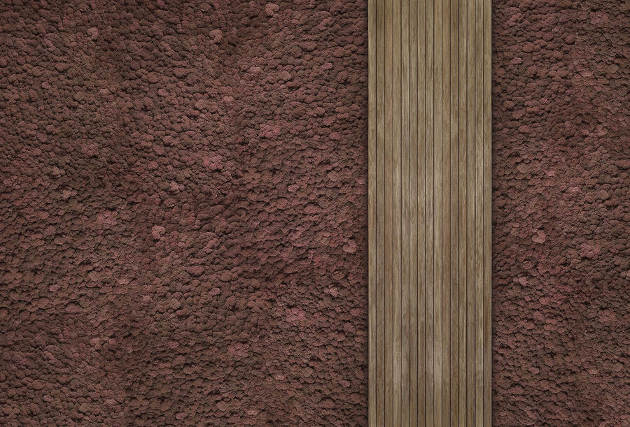 Alcatifa castanha com uma prancha de madeira