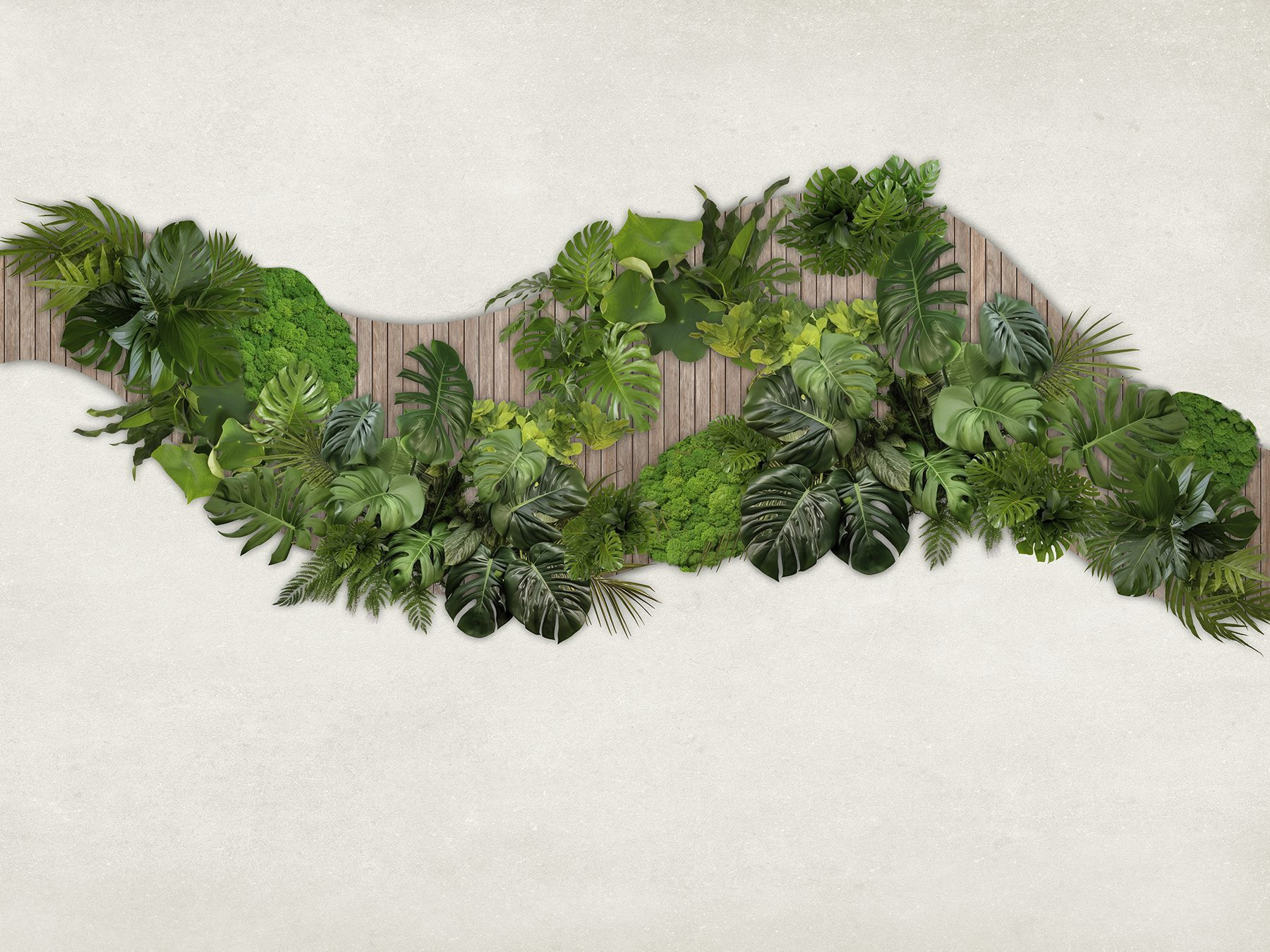 Group of green leaves on a wooden surface Group of green leaves on a wooden surface