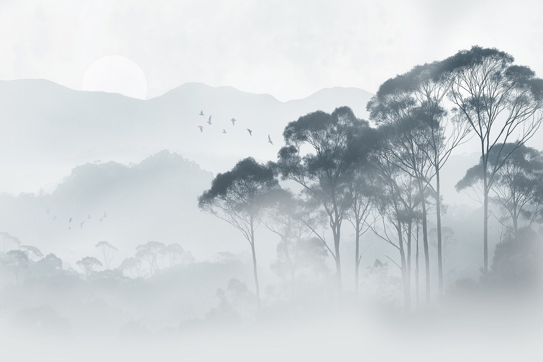 Group of trees in fog Group of trees in fog