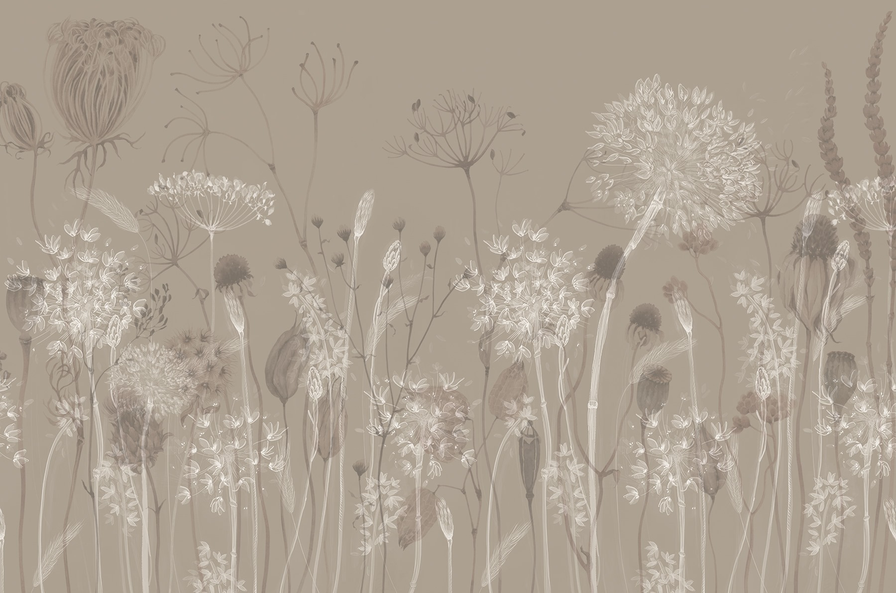 Delicate flora in soft hues