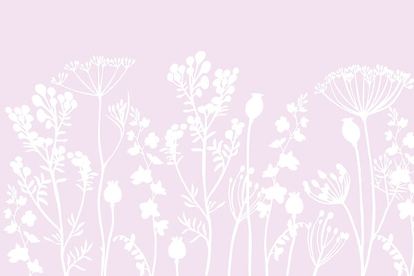 Flores e folhas brancas sobre um fundo cor-de-rosa Flores e folhas brancas sobre um fundo cor-de-rosa