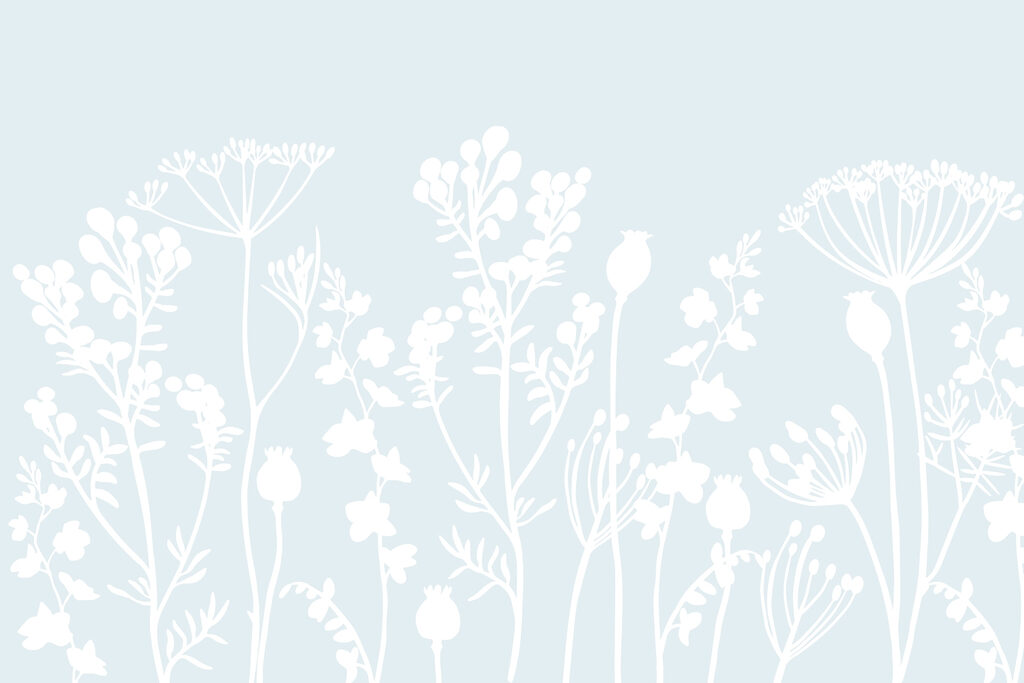 Flores e folhas brancas sobre um fundo azul claro Flores e folhas brancas sobre um fundo azul claro