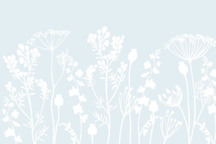 Flores e folhas brancas sobre um fundo azul claro
