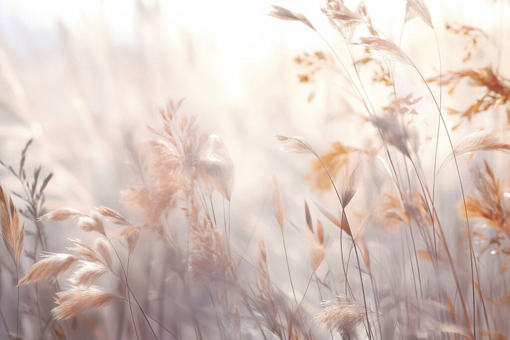 Sussurros suaves da beleza da natureza’. Sussurros suaves da beleza da natureza’.