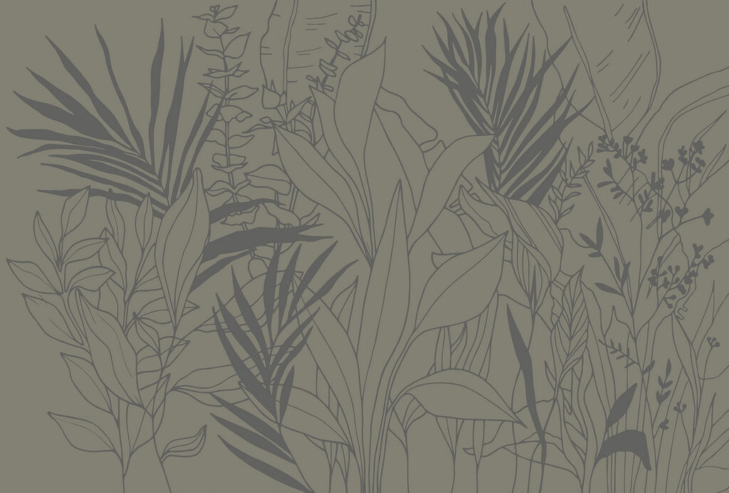 Desenho de plantas e folhas Desenho de plantas e folhas