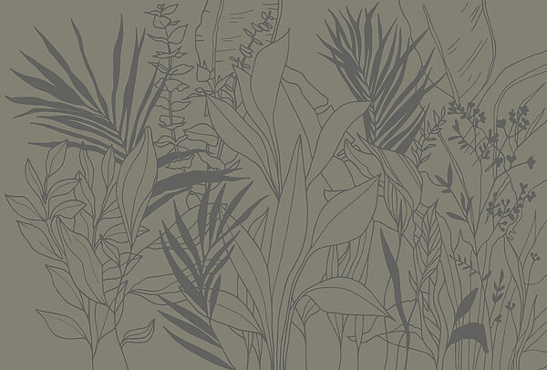 Desenho de plantas e folhas Desenho de plantas e folhas