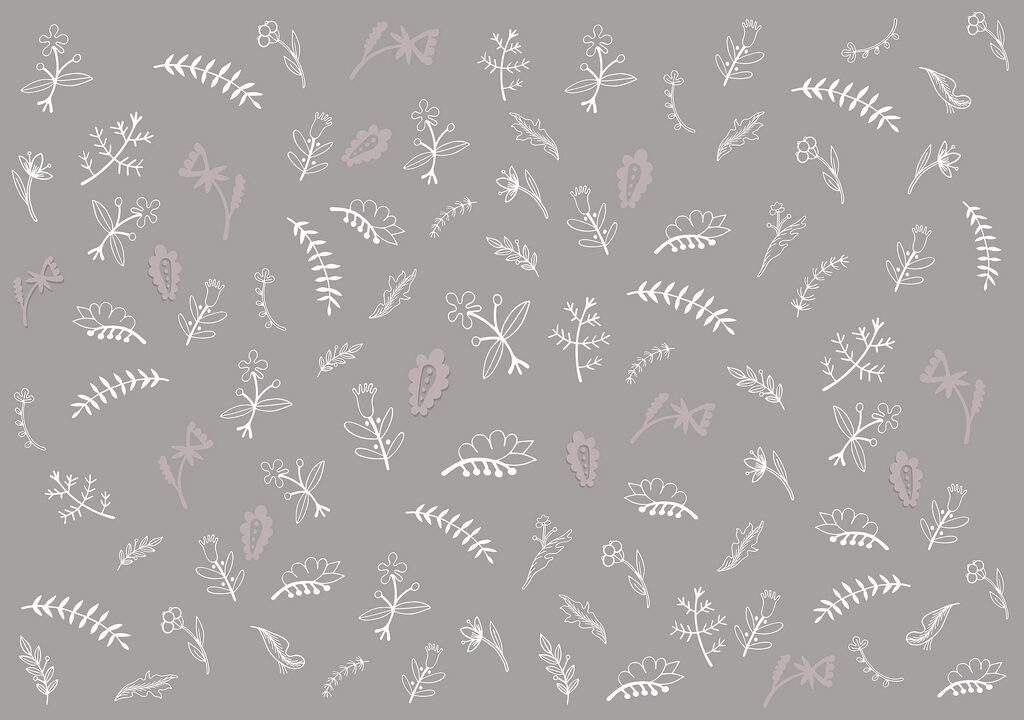 Fundo cinzento com flores brancas Fundo cinzento com flores brancas