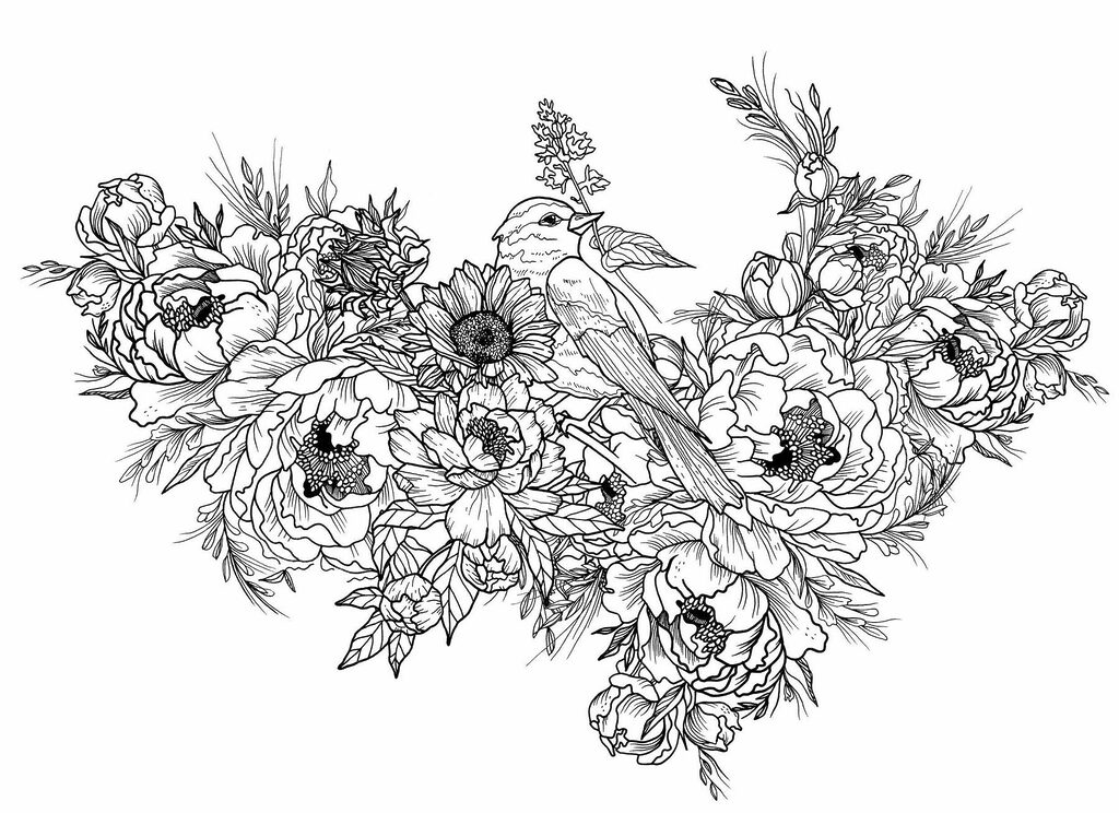 Pássaro sobre uma flor Pássaro sobre uma flor