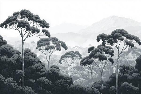 Floresta com árvores e montanhas ao fundo Floresta com árvores e montanhas ao fundo