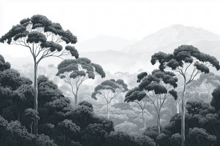 Floresta com árvores e montanhas ao fundo