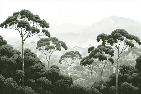 Floresta com árvores e montanhas ao fundo Floresta com árvores e montanhas ao fundo