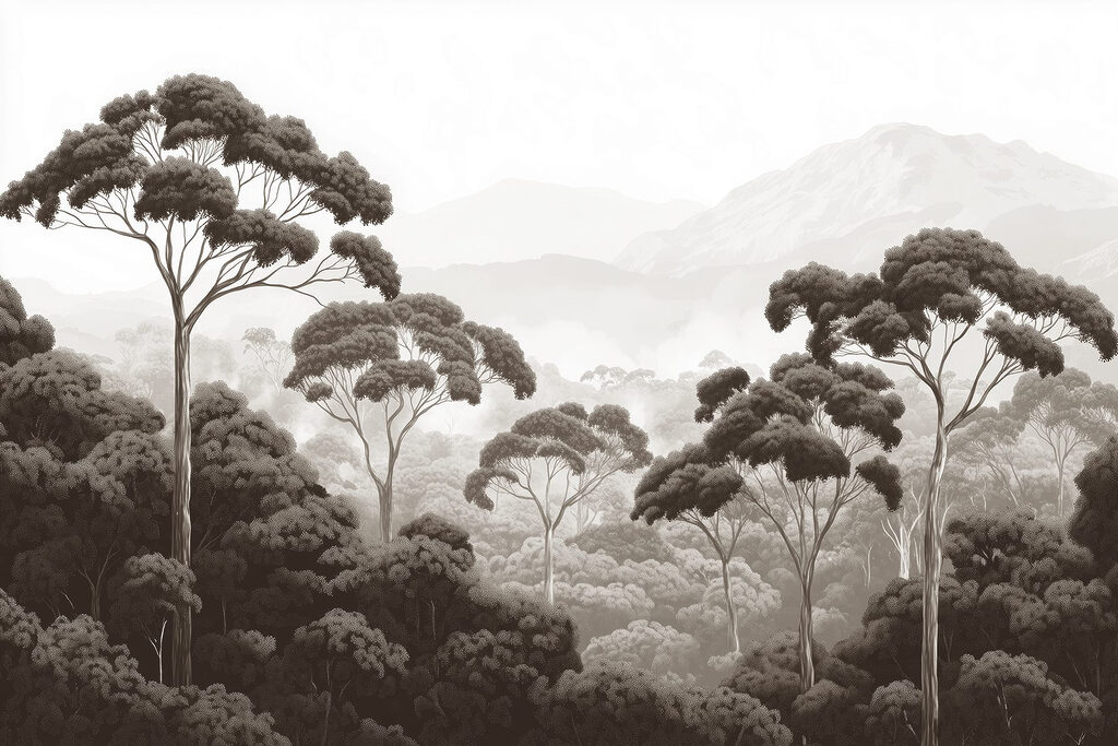 Floresta com árvores e montanhas ao fundo Floresta com árvores e montanhas ao fundo